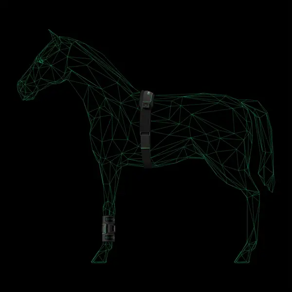 horse-gif_600x