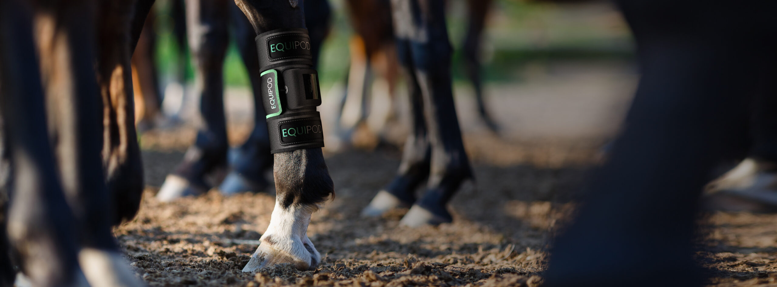 leg-strap-feature-banner-scaled